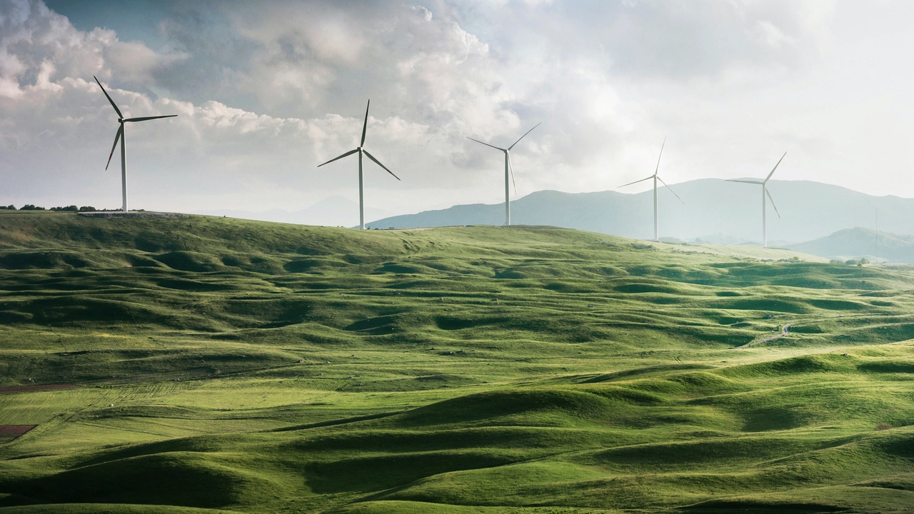 EFI 5653 Ice-cream chest freezer - Liebherr